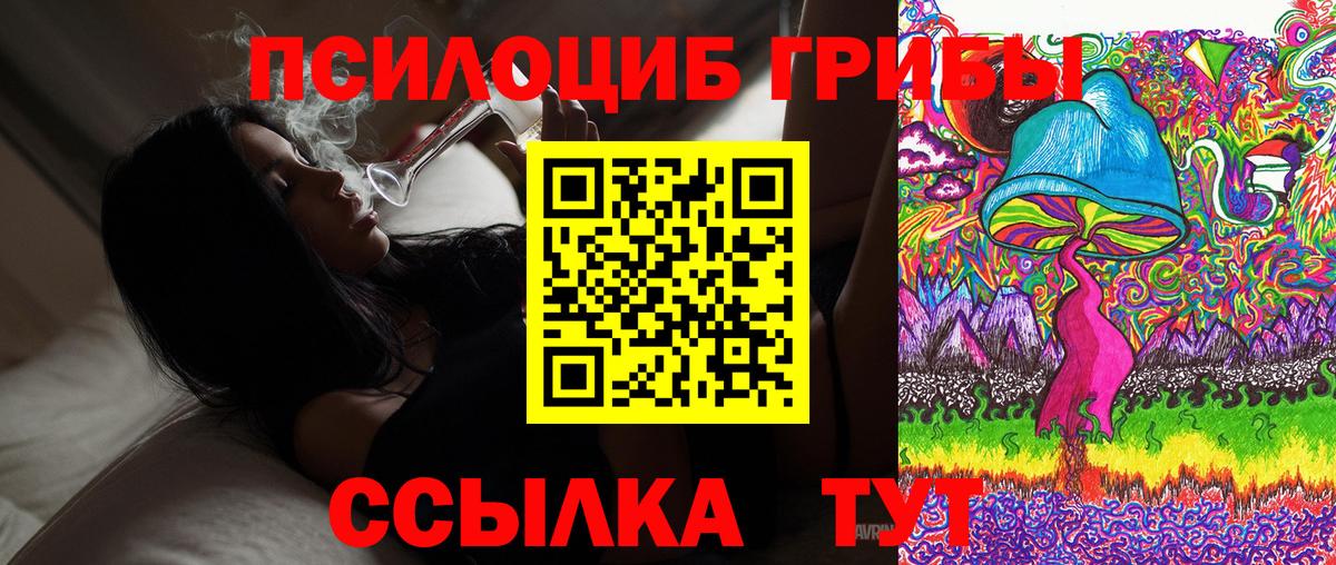 Галлюциногенные грибы Psilocybe  Вход с VPN  Псилоцибиновые грибы Psilocybine cubensis  Гурьевск 